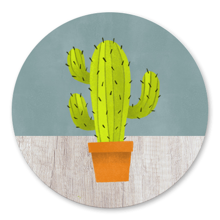 Housewarming Cactus